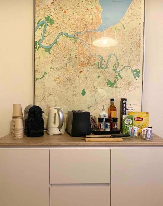 Apartament Central & Relaxed Genewa Zewnętrze zdjęcie